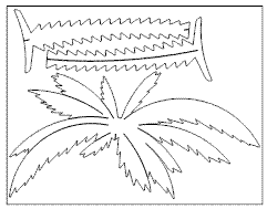 palme_1