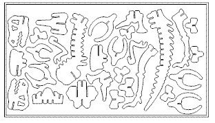 Dinosaurier_1