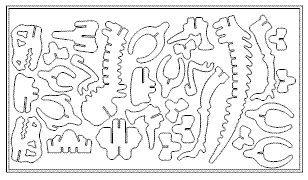 Dinosaurier_2_1mm