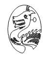 drache