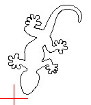 Geko_209