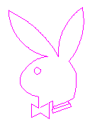 playboybunny