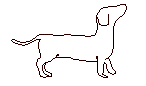 Hund