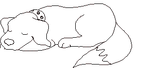 hund3