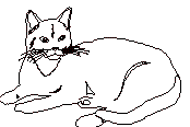 katze