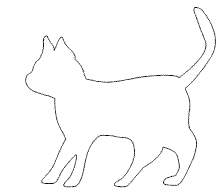 katze_2