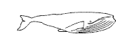 Fische_5