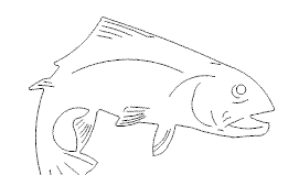 fisch3