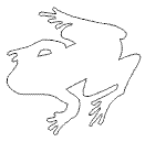 fische_4