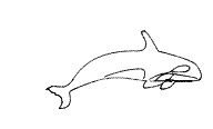 fische_8