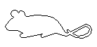 maus