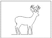 Hirsch2