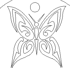 butterfly