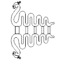 raupe6