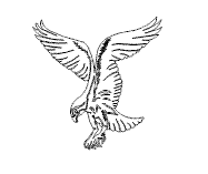 Adler_auilla1