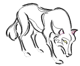 wolf