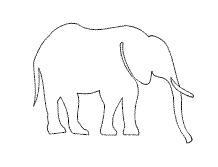 elefant