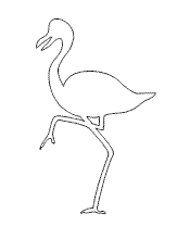 flamingo
